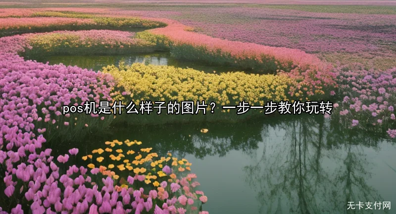 pos机是什么样子的图片？一步一步教你玩转